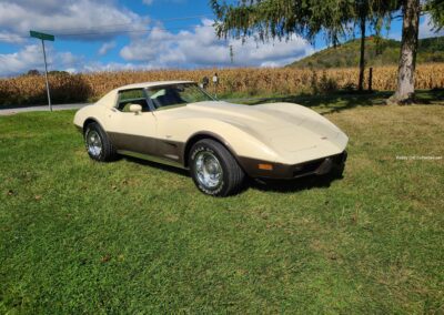 1977 Tan Corvette 4spd For Sale