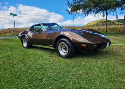 1979 Brown Corvette L82 4spd For Sale