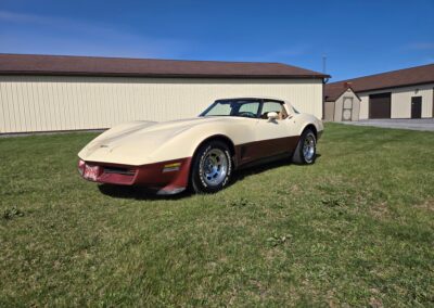 1981 Beige Dark Bronze Corvette For Sale