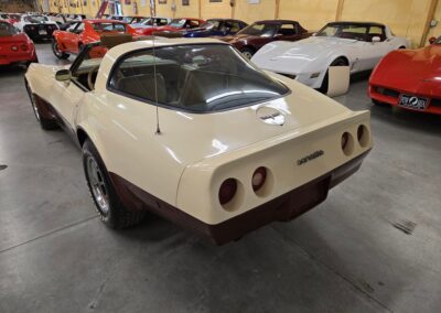 1981 Beige Dark Bronze Corvette For Sale