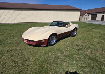 1981 Beige Dark Bronze Corvette For Sale