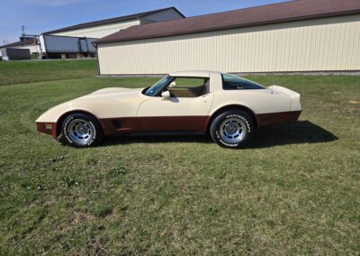 1981 Beige Dark Bronze Corvette For Sale