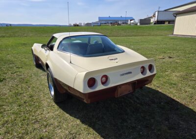 1981 Beige Dark Bronze Corvette For Sale