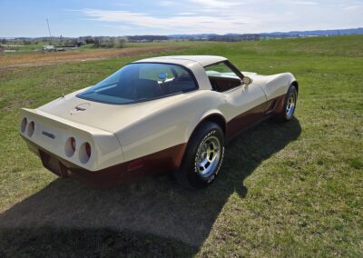 1981 Beige Dark Bronze Corvette For Sale