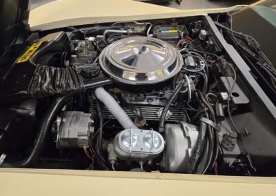 1981 Beige Dark Bronze Corvette For Sale