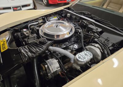 1981 Beige Dark Bronze Corvette For Sale
