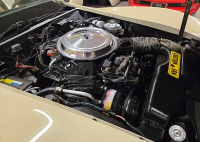 1981 Beige Dark Bronze Corvette For Sale