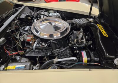 1981 Beige Dark Bronze Corvette For Sale