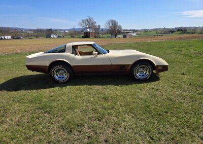 1981 Beige Dark Bronze Corvette For Sale