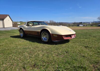 1981 Beige Dark Bronze Corvette For Sale