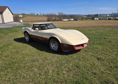 1981 Beige Dark Bronze Corvette For Sale