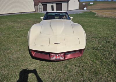 1981 Beige Dark Bronze Corvette For Sale