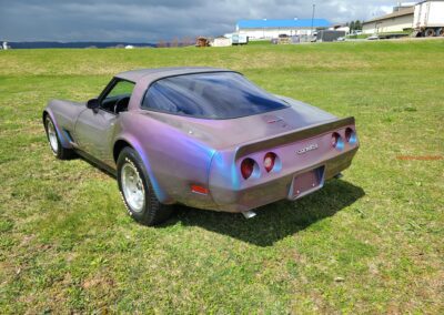 1981 Chameleon Corvette Black Interior For Sale