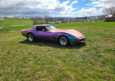 1981 Chameleon Corvette Black Interior For Sale