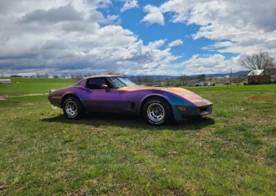 1981 Chameleon Corvette Black Interior For Sale