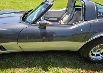 1981 Charcoal Corvette Silver Int T Top