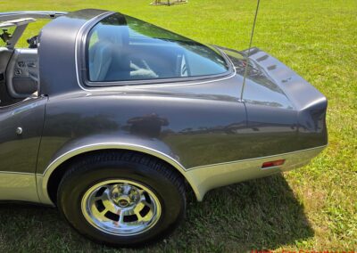 1981 Charcoal Corvette Silver Int T Top