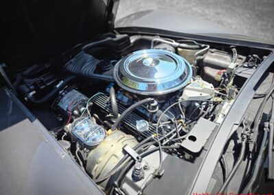1981 Charcoal Corvette Silver Int T Top