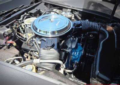1981 Charcoal Corvette Silver Int T Top