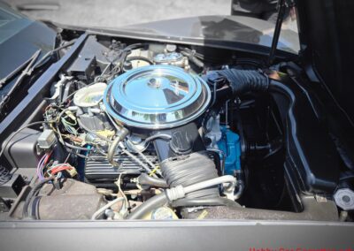 1981 Charcoal Corvette Silver Int T Top