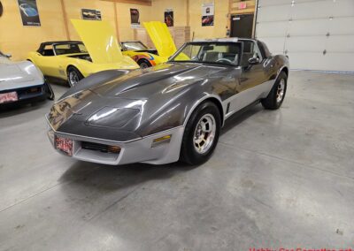 1981 Charcoal Corvette Silver Int T Top