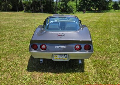 1981 Charcoal Corvette Silver Int T Top