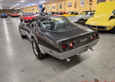 1981 Charcoal Corvette Silver Int T Top