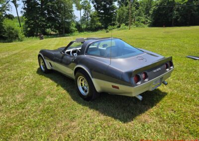 1981 Charcoal Corvette Silver Int T Top