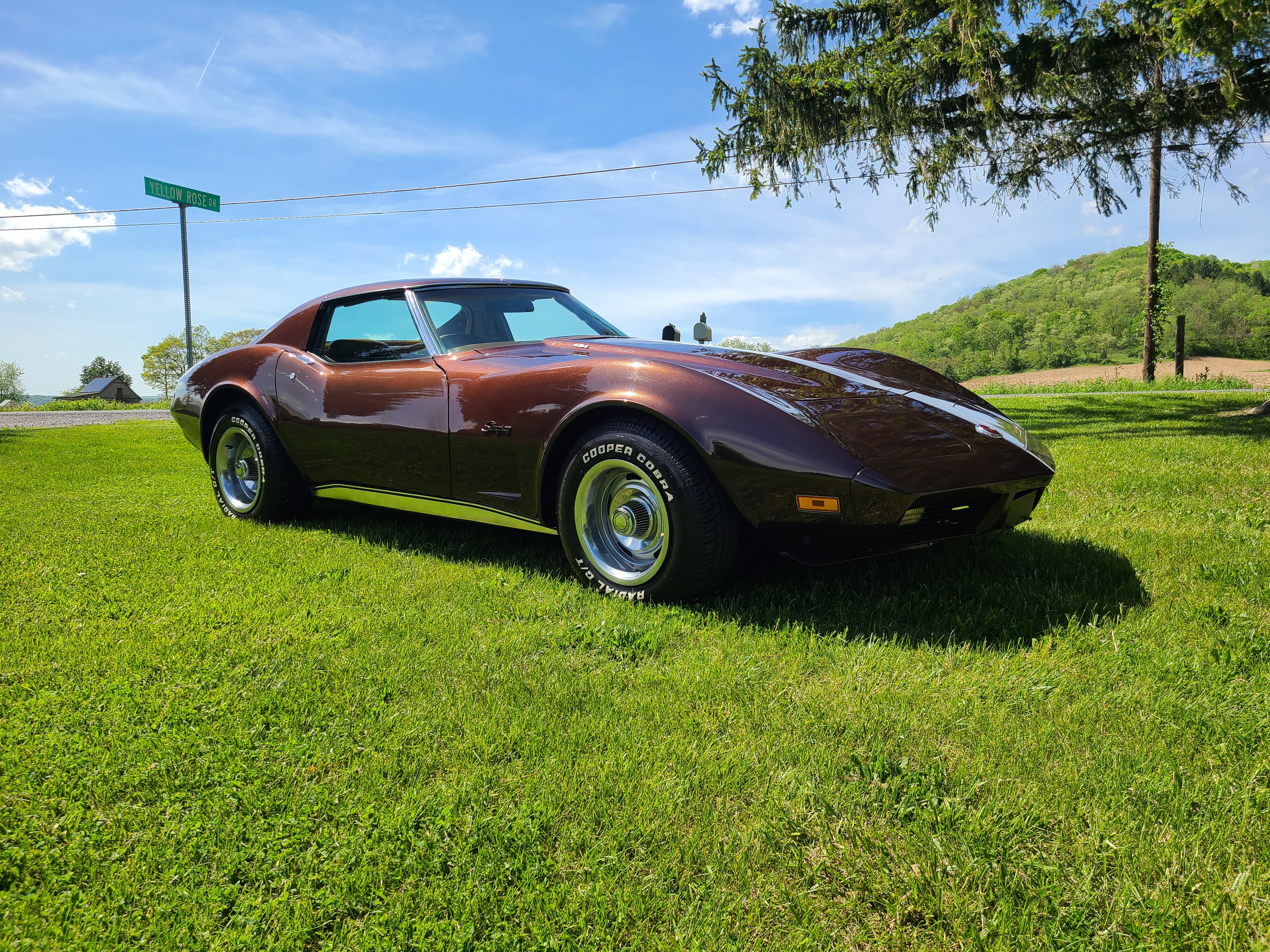1974 Dark Brown Big Block 4spd Corvette Stingray For Sale