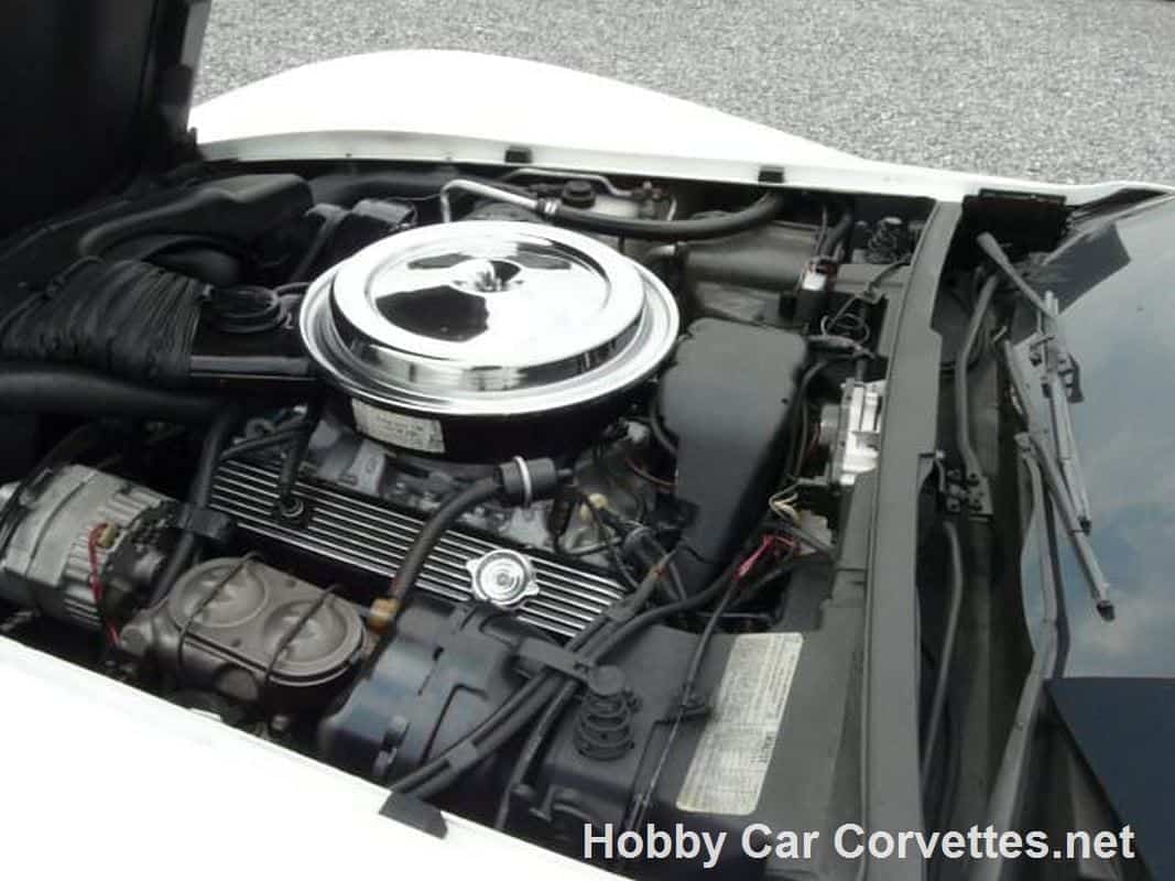 1978 White L82 Corvette For Sale: T-Top with Manual Transmission